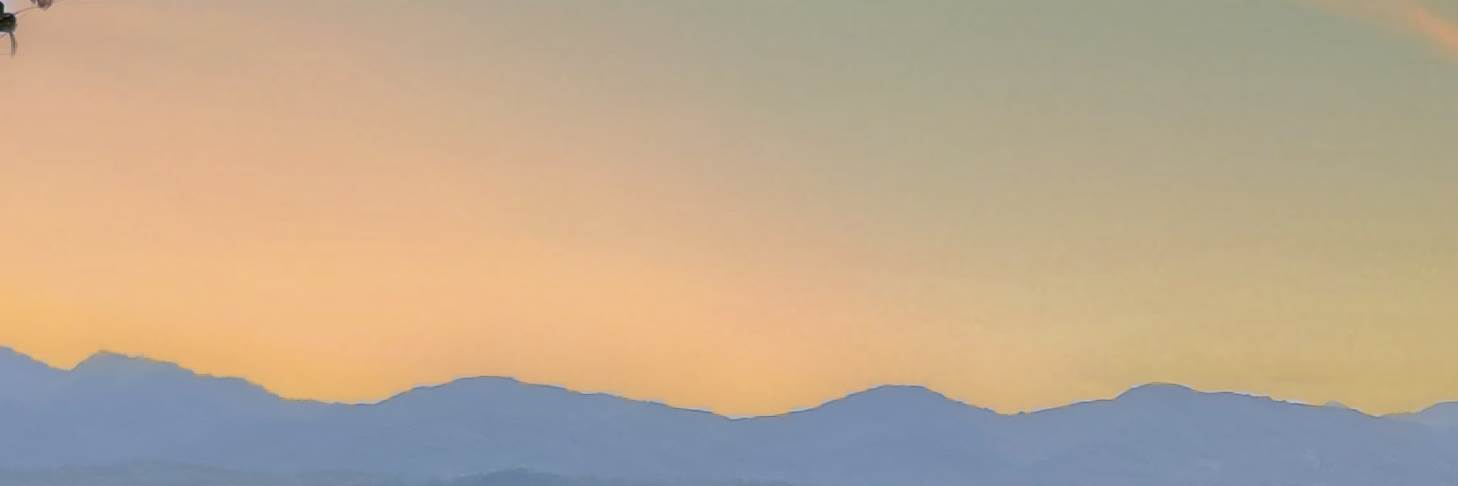 banner image of Alex Hart