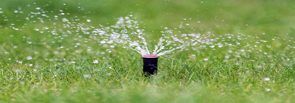banner image of Evergreen Sprinkler and Landscaping Services 