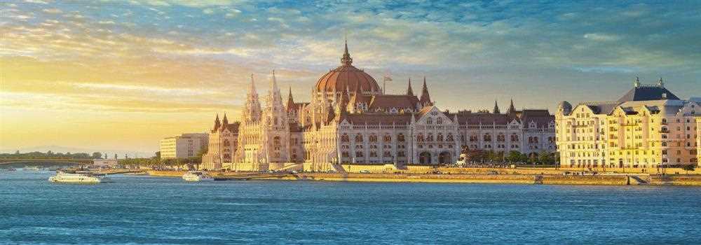 banner image of leisa williams