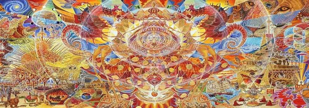 banner image of Michelle Bloom