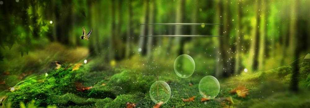 banner image of Stella Murugesan