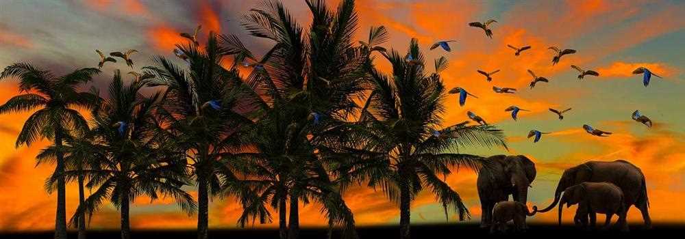 banner image of Vinayak Gunjal