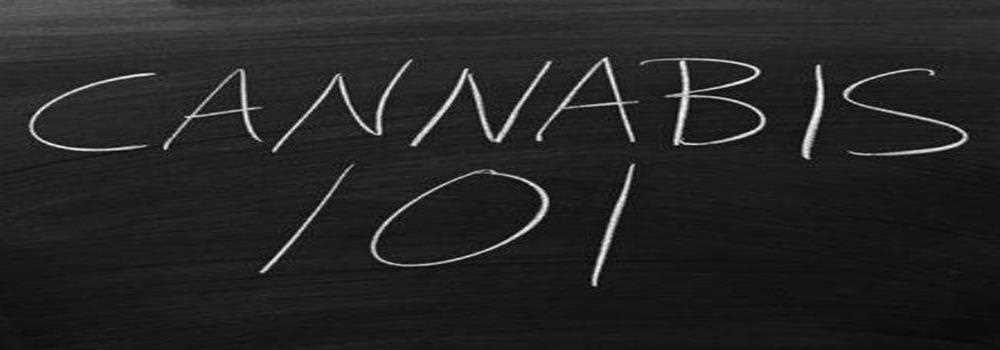 banner image of arkron fletcher