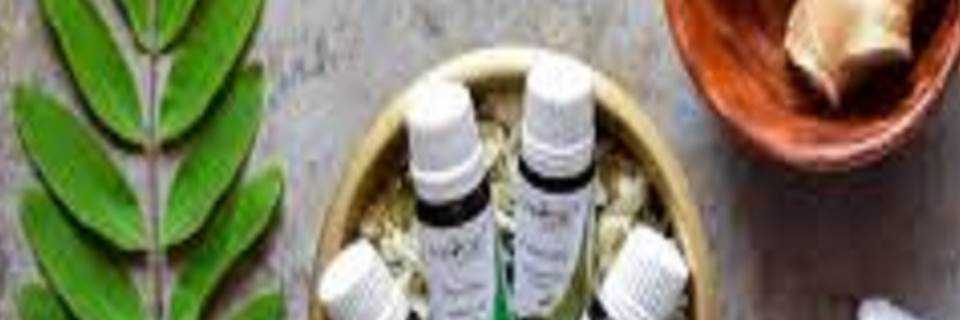 banner image of Meraki Essentials