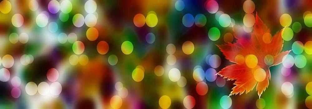 banner image of Pradeep kumar Patel