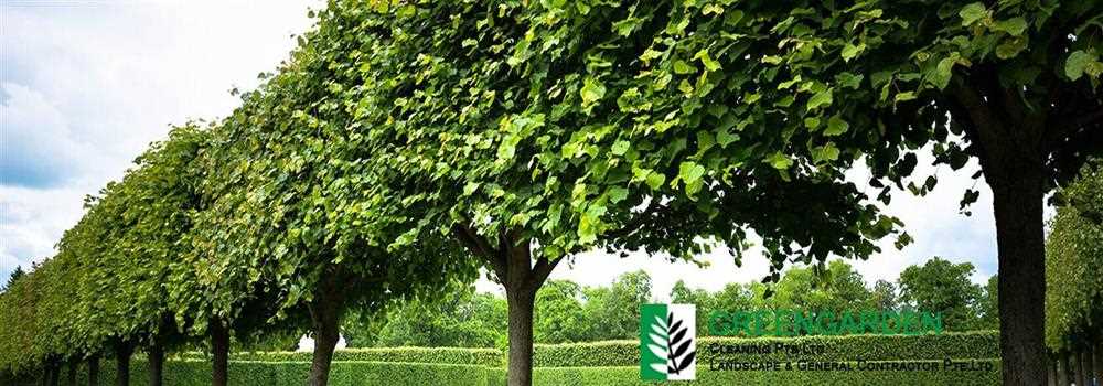 banner image of Green Garden Cleaning Pte Ltd 
