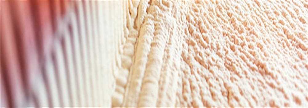 banner image of spray foam