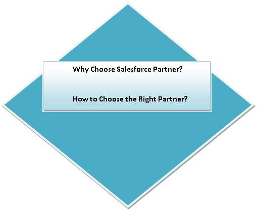 How to Choose Your Perfect Salesforce Partner?