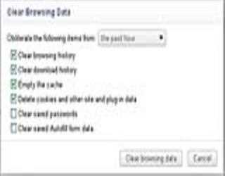 How to delete history on browser