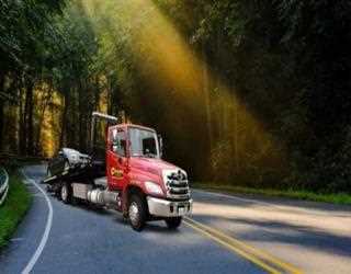 What Potential and Credibility Does App-Based Delivery Services Hold?