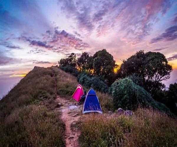 Tadiandamol Trek 2019: Go wild this weekend!, Coorg, Karnataka, India