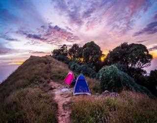 Tadiandamol Trek 2019: Go wild this weekend!, Coorg, Karnataka, India