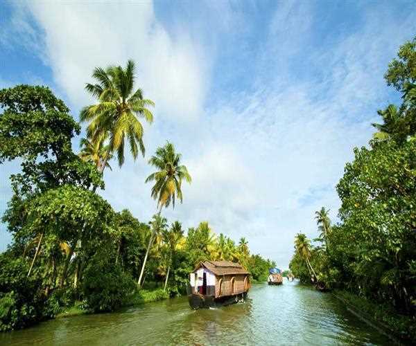 4 Best Things To Do In Kumarakom