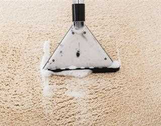 Shampoo Carpet Cleaning Technique – DIY and Professional Carpet Cleaning