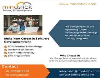 How to make a good career in software development with MindStick Training Portal? image