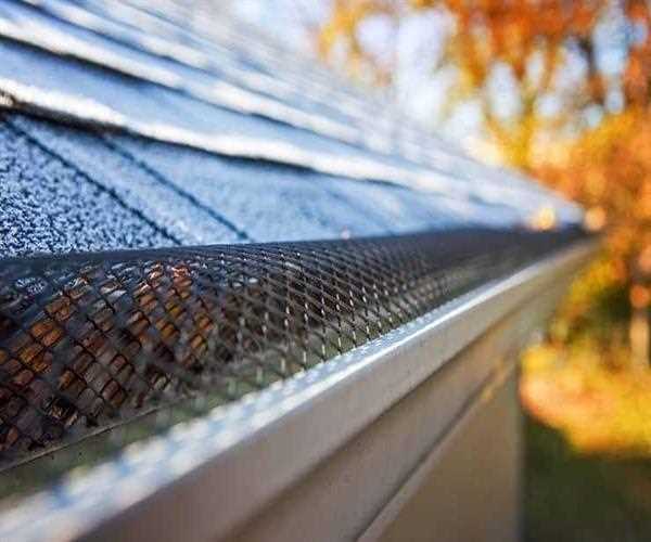 Why Keep Gutters Clean This Fall