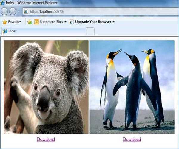 Download files in MVC MindStick