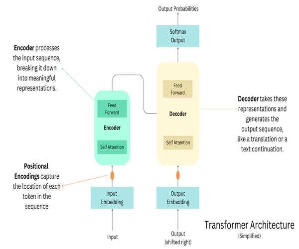 What is a Transformer Architecture (LLM)? Everything you should know