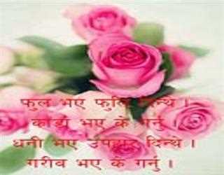 Nepali shayari- nepali status $ nepali quote