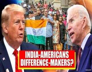 How much influence do Indian-Americans have in American Federal Elections?