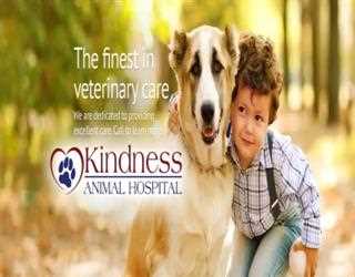 How to select a veterinary clinic image