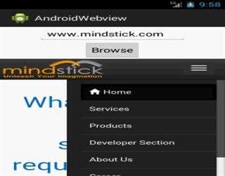 How to open url in our android application