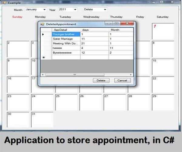 Application to store appointment, in C#
