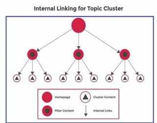 Role Internal And External links In SEO