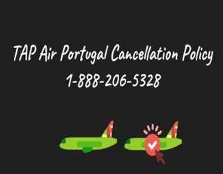TAP Air Portugal Cancellation Fee | Refund Policy
