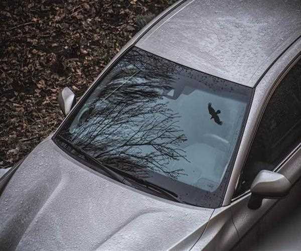 How to remove water spots from Windshield Glass?