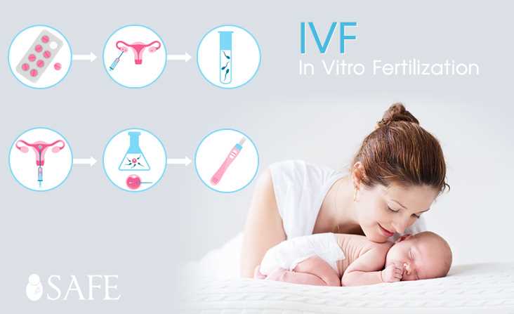 IVF Rate - Just How Much Am I Actually Going to Pay?