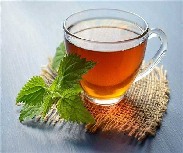 Some Awesome Benefits of Rosehip Tea That You Must Know