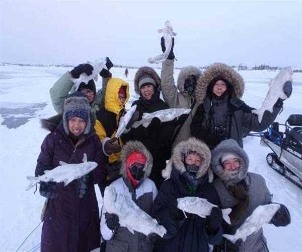 How Long Do the Northern Lights Last?