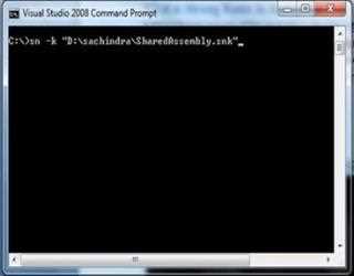 What is Strong Name in Assembly?