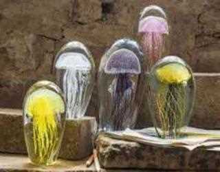 Amazing Quirky Gift Ideas to Send Online to Pakistan