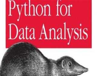A Guide: Using Data Analysis with Python Libraries