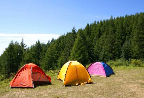 What to Get from Tents for Sale?