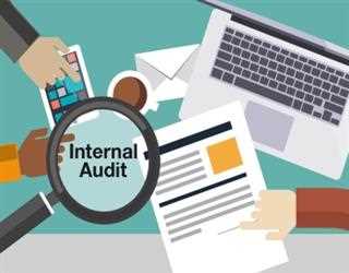 Internal Audit - Nature & Business Objectives