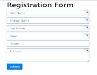 how to design a form with required field  stylish mark