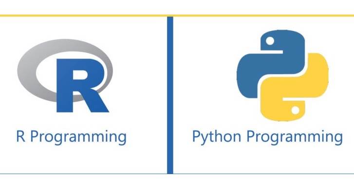 The War Between R and Python Programming