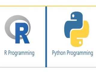 The War Between R and Python Programming
