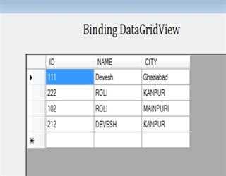 Ways to Bind DataGridView in Window Forms C#