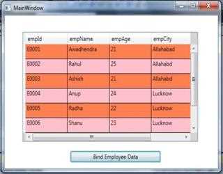 DataGrid control in WPF