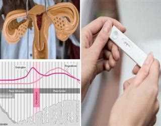 Services d'avortement médical - En savoir plus!