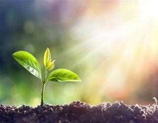 3 Things That Made My Recovery Successful