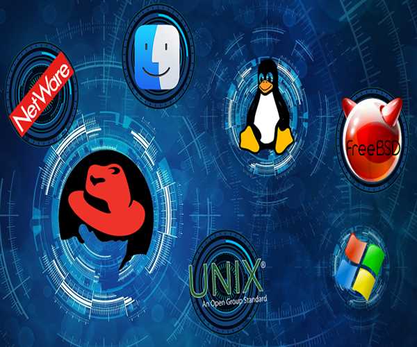 What Are Some Common Server Operating Systems, Main Features