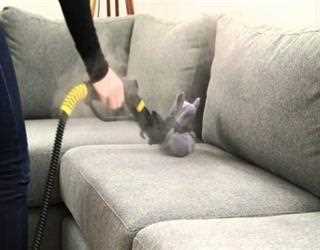 Commercial Steam Cleaner - Providing the Perfect Cleaning Experience