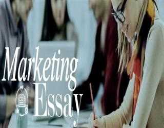 Discover new marketing dimensions before you start your essay: