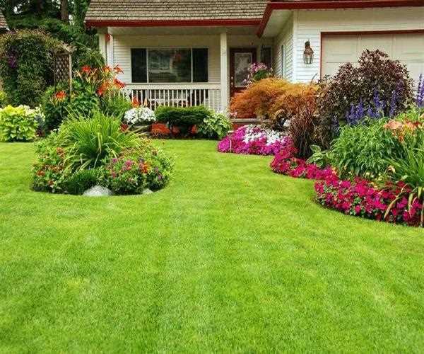 Residence Horticulture Is A Great Deal Greater Than Simply A Hobby