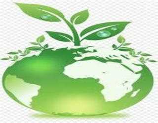 Breathe Green Charcoal Bags is Easy To Use